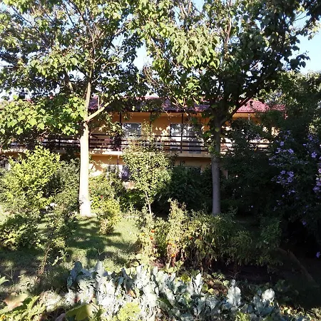 Catrini 3* كوستِنيست