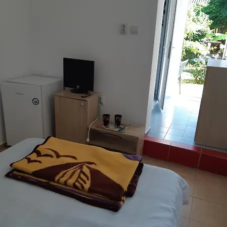 Catrini ゲストハウス コスティネシュティ